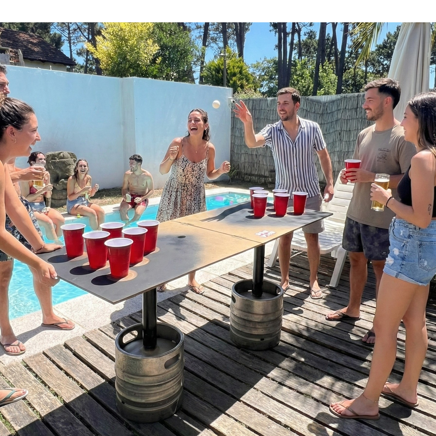 Mesa Beer Pong